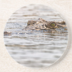 Porta-copos De Arenito Nile Crocodile