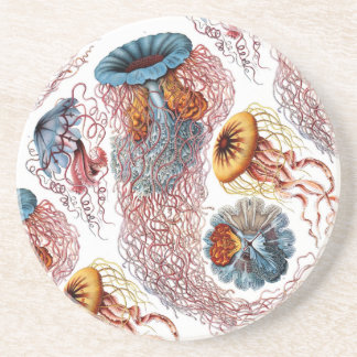 Porta-copos De Arenito O disco Medusae de Ernst Haeckel