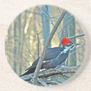 Porta-copos De Arenito O pica-pau de Pileated coordenou artigos
