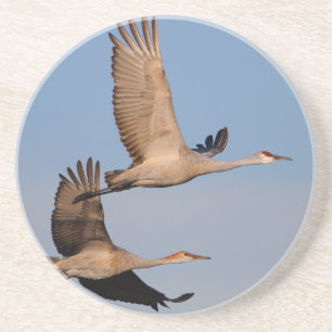 Porta-copos De Arenito o sandhill cranes em vôo