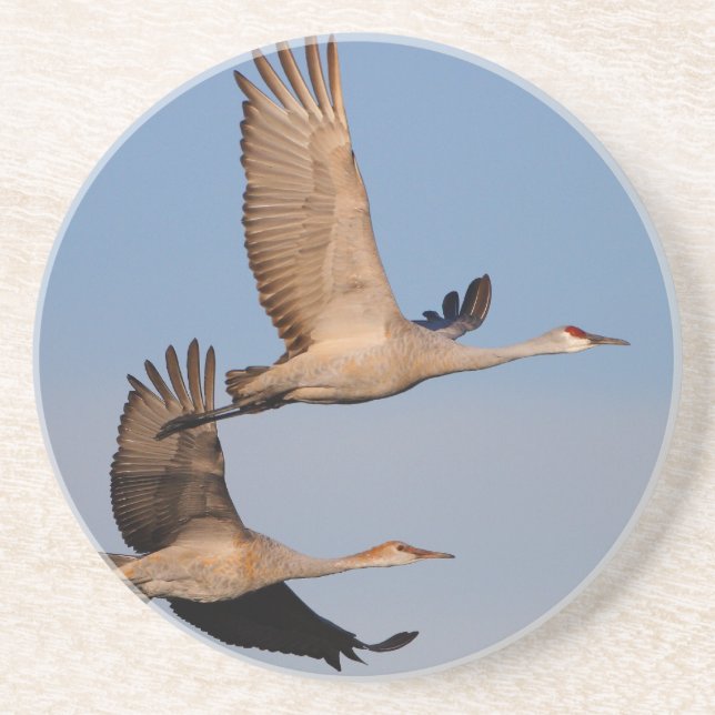 Porta-copos De Arenito o sandhill cranes em vôo (Frente)