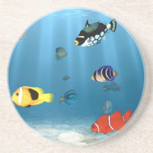 Porta-copos De Arenito Oceanos dos peixes