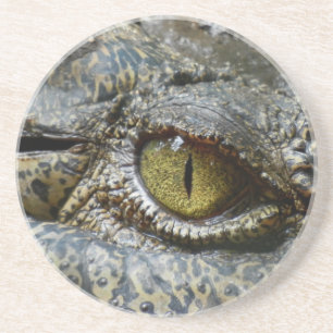 Porta-copos De Arenito olho de crocodilo face animal personalizar diy