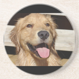 Porta-copos De Arenito Ouro Feliz Retriever