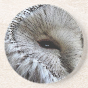 PORTA-COPOS DE ARENITO OWLS