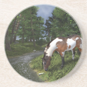 Porta-copos De Arenito Paint Horse por Forest Stream