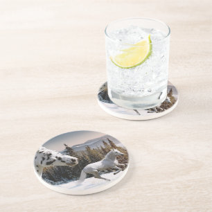 Porta-copos De Arenito País das maravilhas do inverno