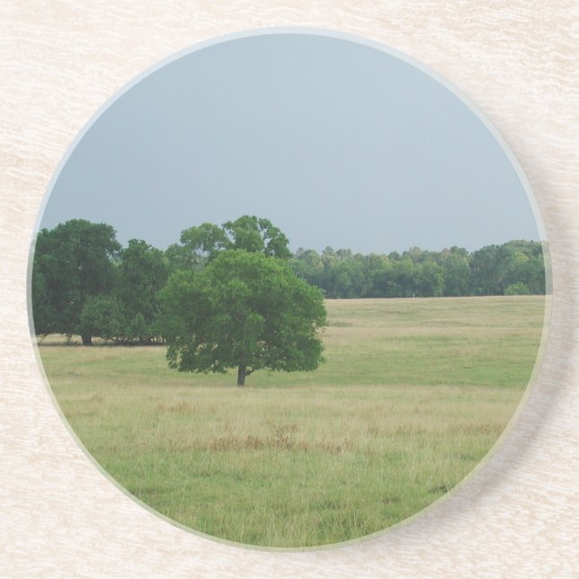 Porta-copos De Arenito Paisagem do Alabama (Frente)
