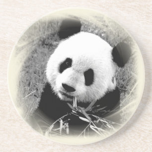 Porta-copos De Arenito Panda Eyes