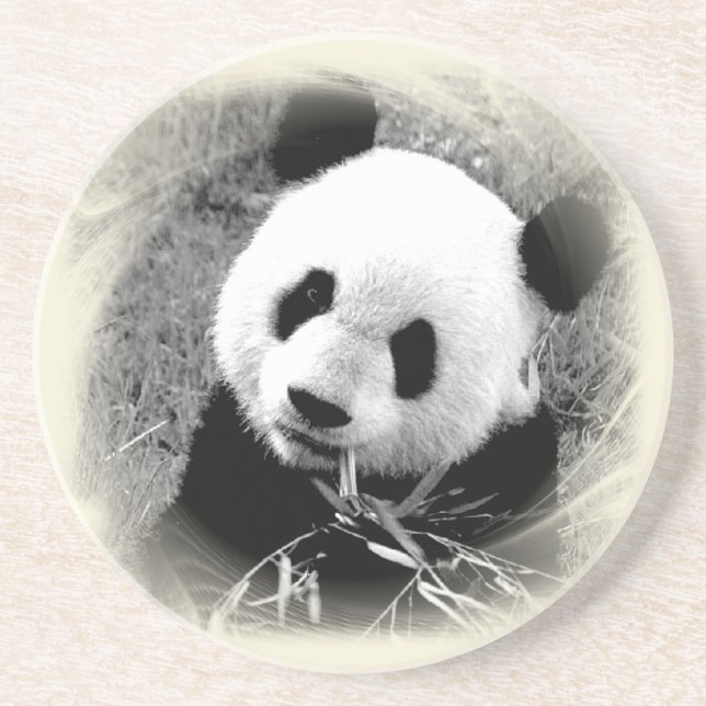 Porta-copos De Arenito Panda Eyes (Frente)