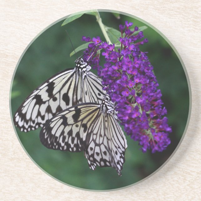 Porta-copos De Arenito Par de borboletas de papagaio (Frente)