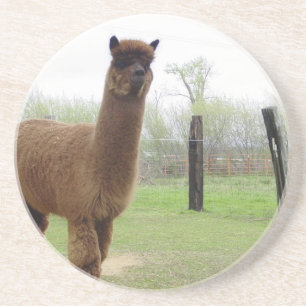 Porta-copos De Arenito Parafuso prisioneiro da alpaca