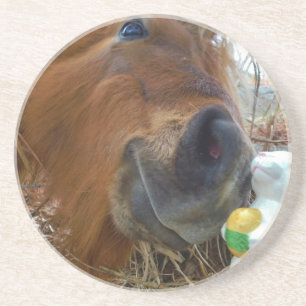 Porta-copos De Arenito Páscoa Bunny e Cavalo Marrom