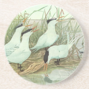 Porta-copos De Arenito Pássaros Litorâneos Antigos em uma Marisma por Lou