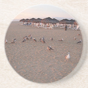 Porta-copos De Arenito Pássaros na praia em Cabo