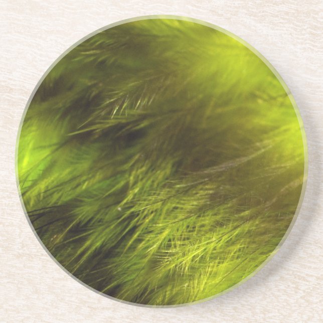 Porta-copos De Arenito Penas Amarelas (Frente)