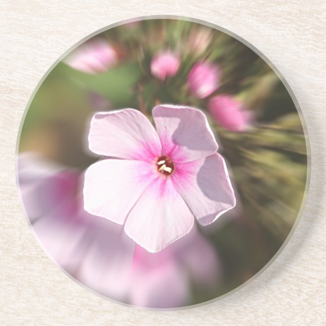 Porta-copos De Arenito Periwinkle (Frente)
