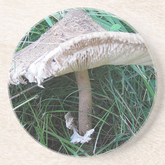 Porta-copos De Arenito Pilz mit hübschem Hut (Frente)