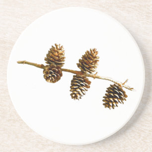 Porta-copos De Arenito Pine Cones
