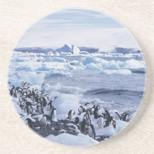 Porta-copos De Arenito Pinguins-de-adélia Pygoscelis adeliae