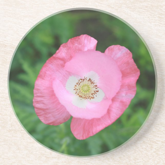 Porta-copos De Arenito Pink Poppy (Frente)