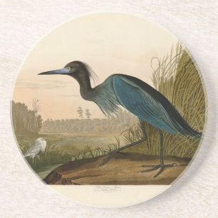 Porta-copos De Arenito Pintura de Heron Audubon com Crane Azul