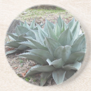Porta-copos De Arenito Plantas da agave do deserto