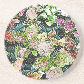 Porta-copos De Arenito Plântulas do Coleus