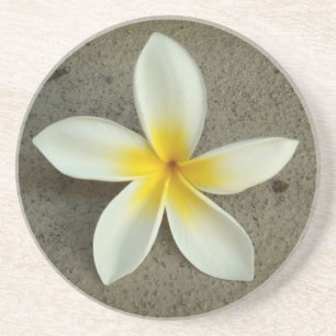 Porta-copos De Arenito Plumeria hawaii portas copos