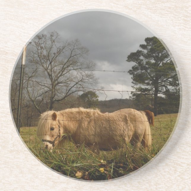 Porta-copos De Arenito Pônea Loura Miniatura / Cavalo (Frente)