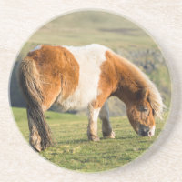 Pônei Shetland em Pastagem Perto de Falésias Altas