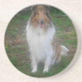 Porta-copos De Arenito Portas copos Collie Sable Rough
