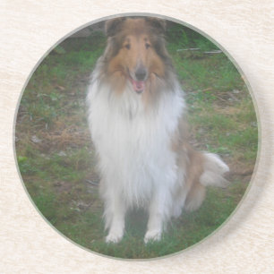 Porta-copos De Arenito Portas copos Collie Sable Rough