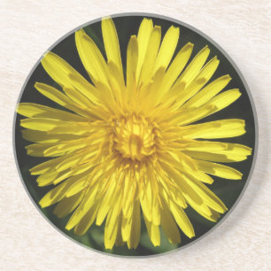 Porta-copos De Arenito Portas copos Dandelion