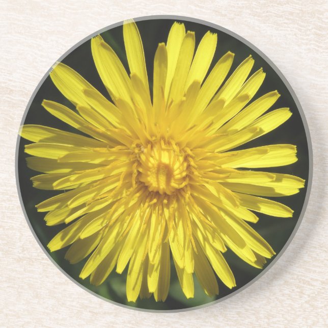 Porta-copos De Arenito Portas copos Dandelion (Frente)