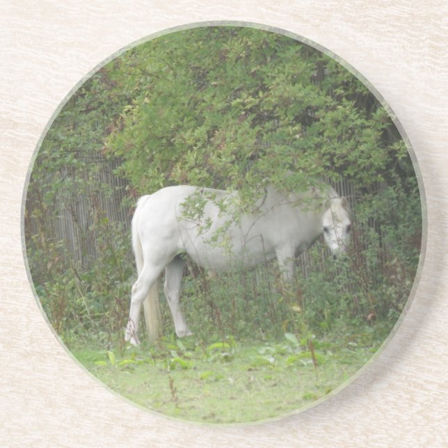 Porta-copos De Arenito Portas copos de Cavalo Branco Tímido (Frente)
