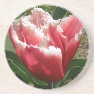 Porta-copos De Arenito Portas copos de Tulipas com Forra Rosa