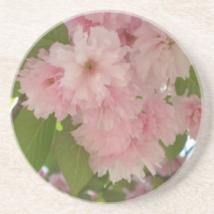 Porta-copos De Arenito Primavera cor-de-rosa de florescência dobro da