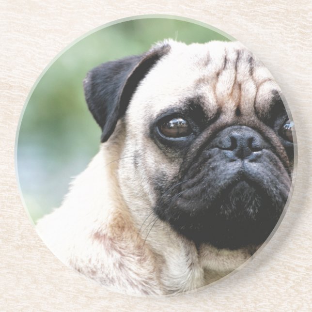 Porta-copos De Arenito Pug (Frente)