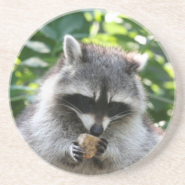 Porta-copos De Arenito Raccoon 004 (Frente)