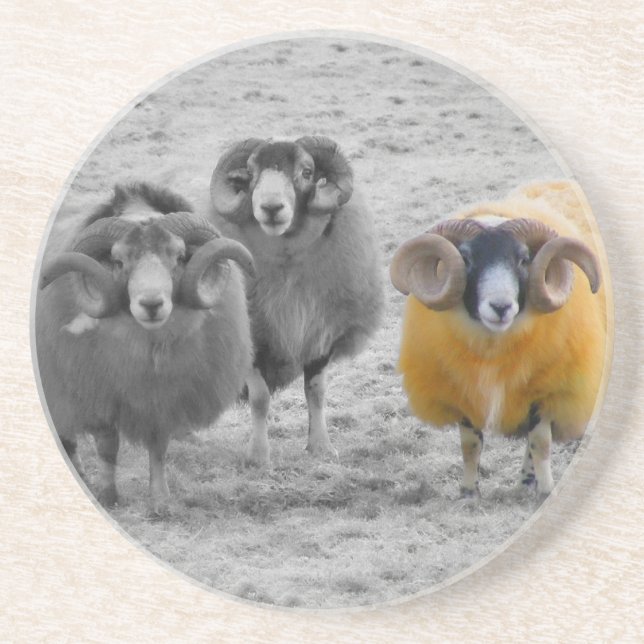 Porta-copos De Arenito Rams escoceses (Frente)