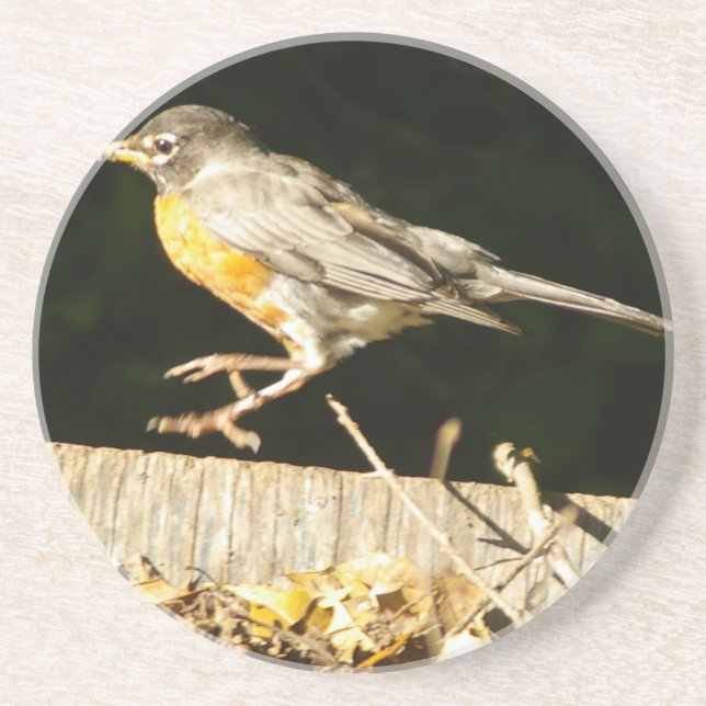 Porta-copos De Arenito Red Robin Bobbin (Frente)