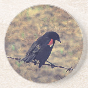 Porta-copos De Arenito Red Winged Blackbird