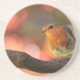 Porta-copos De Arenito Robin em um galho