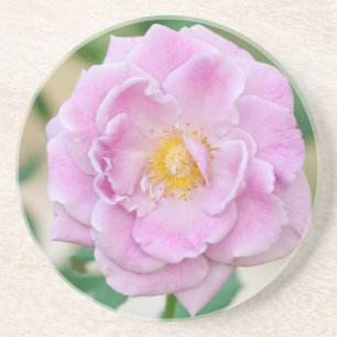 Porta-copos De Arenito Rosa Briar
