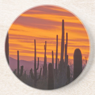 Porta-copos De Arenito Saguaro, pôr do sol, Parque Nacional Saguaro
