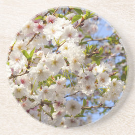 Porta-copos De Arenito Sakura Cherry Blossom Japão Quioto