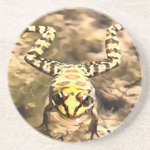 Porta-copos De Arenito Sapo De Nado Imerso Em Pincel De Água Fluvial Limp