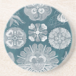 Porta-copos De Arenito Sealife Blueprint IV