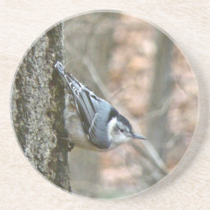 Porta-copos De Arenito Slate Cinza Nuthatch Songbird